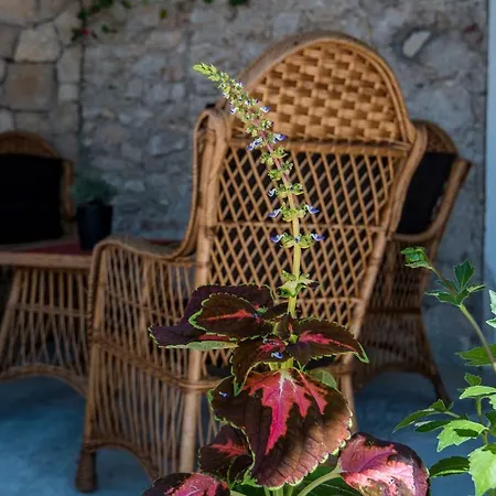 Batinica * Sibenik