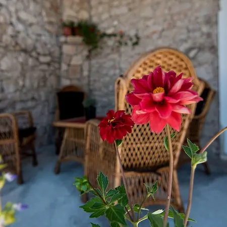 Batinica Apartment Sibenik